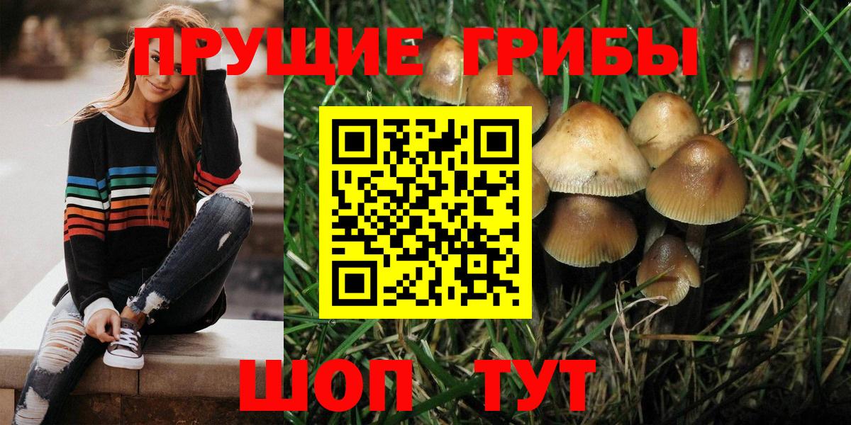 Псилоцибиновые грибы MAGIC MUSHROOMS  Галлюциногенные грибы Psilocybe  закладка  Сегежа  Вход с VPN 